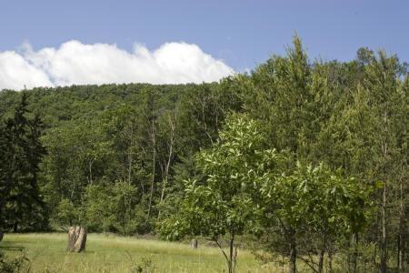 own a piece of friendship mound, wisconsin