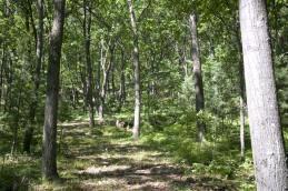 wisconsin land for sale