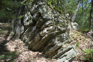 Wisconsin land for sale in Adams County