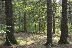 2 acres of buildable land by Castle Rock Lake