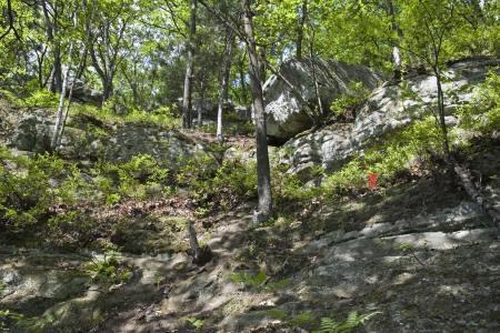 real estate for sale in Adams County, WI.