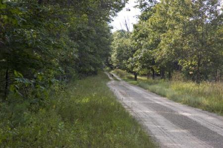 large abundance of deer and wild turkey.