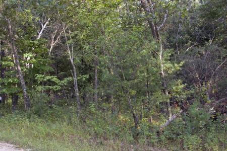 adams county land for sale