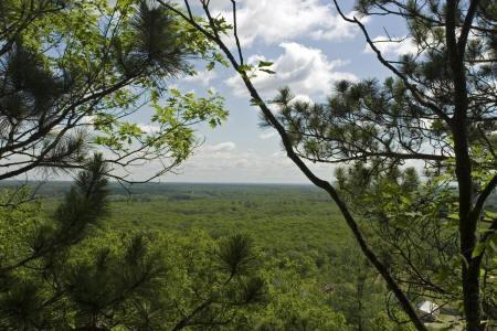 land for sale with hardwoods and pines