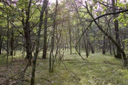 Adams County Mounds & Rock Outcroppings Nearby