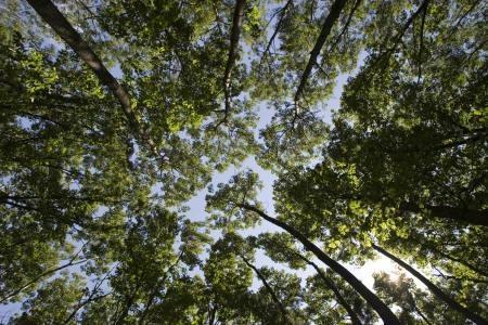 central Wisconsin land for sale