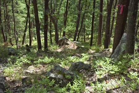 investment property for sale, WI.