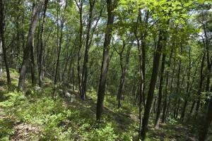 prime Wisconsin development property for sale