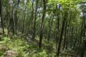 prime Wisconsin development property for sale