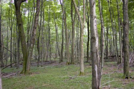 camping and hiking near Wisconsin Dells