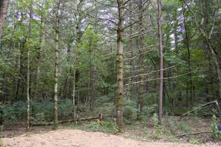 central wisconsin property for sale