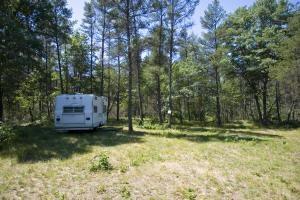 property for sale in Big Flats, Wisconsin