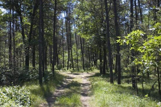 property close to public hunting