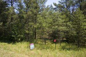 property for sale by Lake Petenwell, WI.