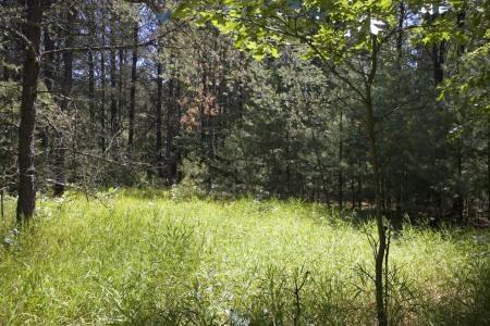 Adams County property for sale