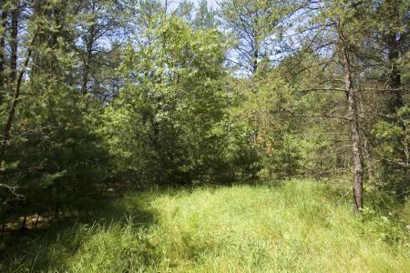close to ATVing, snowmobiling, hiking