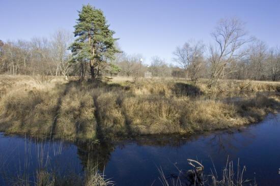 big roche-a-cri creek real estate