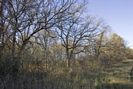 Arkdale, Wi 54614