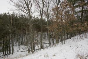 central wisconsin real estate for sale