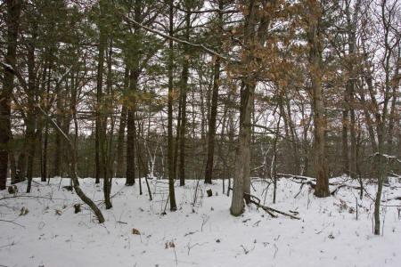 rome township, adams county, wi