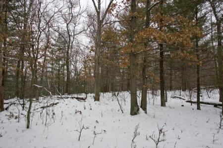 5 elevated acres for sale in adams county