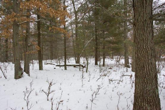 real estate for sale by lake petenwell
