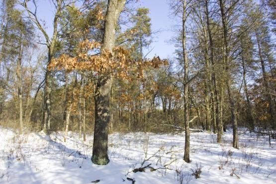 central wisconsin land for sale