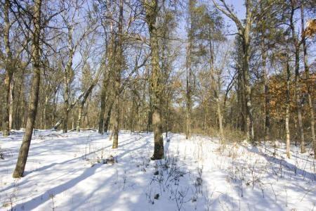 fully wooded property in adams county