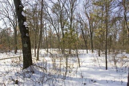 public land, atv routes and snowmobile trails