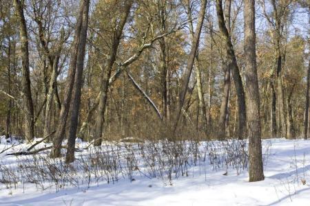land for sale by the tri-lake, wi