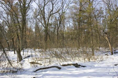 come enjoy central wisconsin
