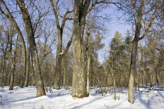 close to several county parks