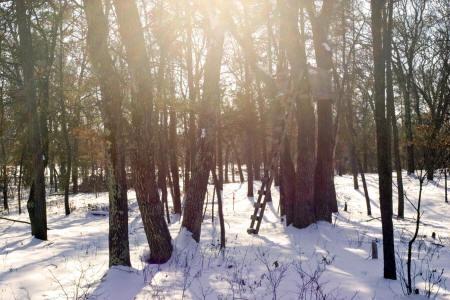 central wisconsin real estate