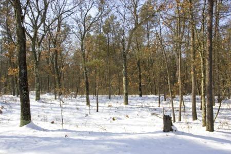 land on county road c
