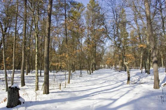 land for sale close to public land