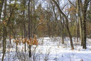 property for sale by lake petenwell wi