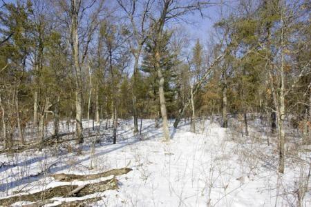wooded land in big flats wi