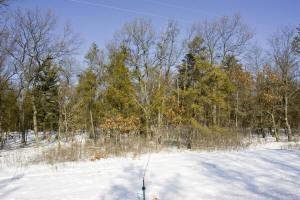 property for sale in castle rock lake area