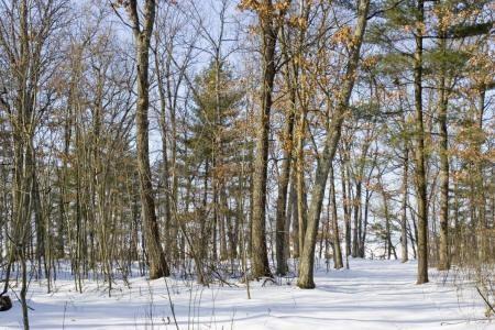 central wisconsin real estate