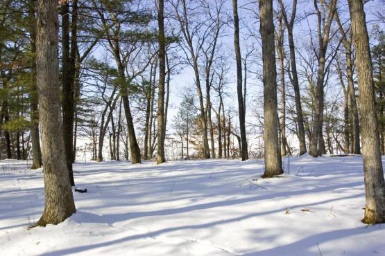 lake petenwell waterfront for sale