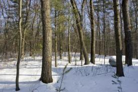 petenwell landing wi