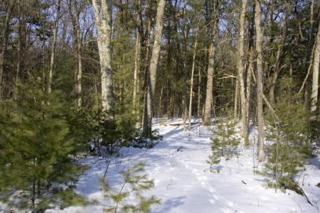 for sale deed access to lake petenwell