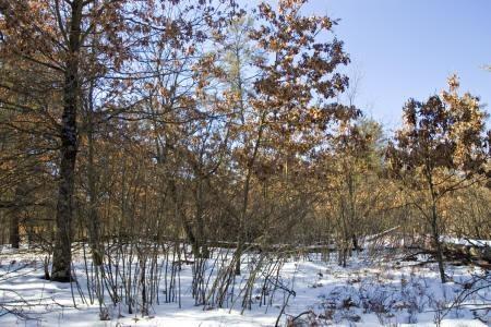 central wisconsin property for sale