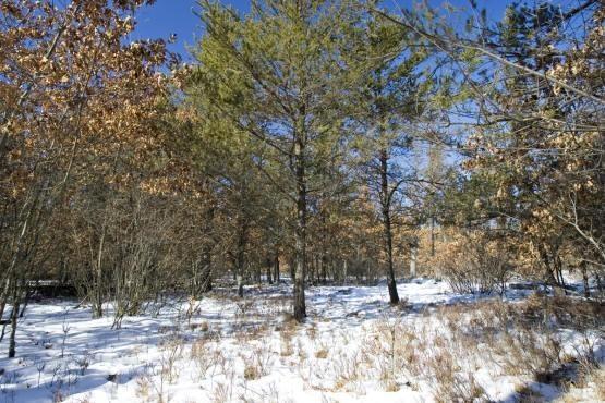 property for sale with deeded access to camelot lake, wi