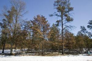 lot for sale by tri-lakes, wi