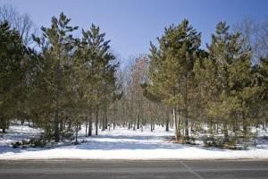 real estate for sale land contract