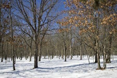 central wisconsin land for sale