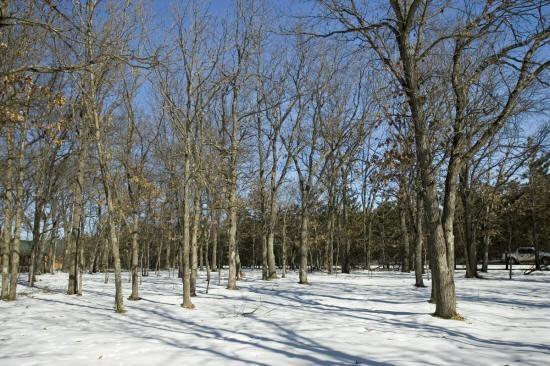 acreage for sale by tri-lakes