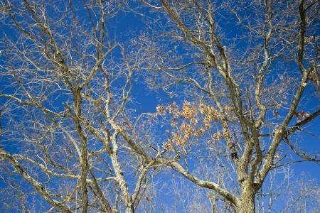 blue blue wisconsin sky