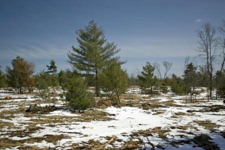 land for sale camp or build